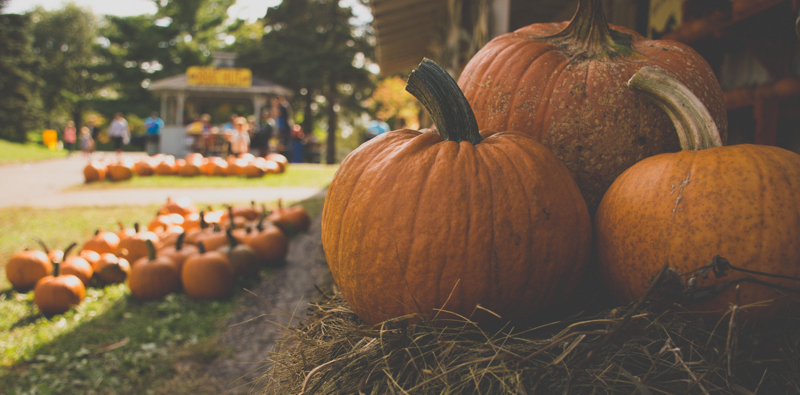 autumn events in reston