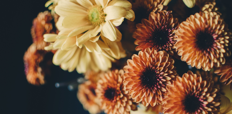 decorate your apartment for fall